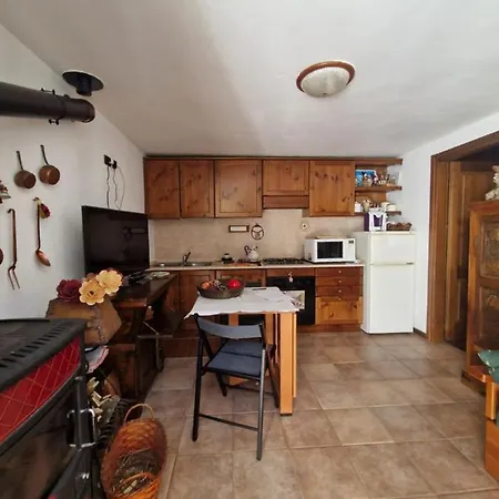 L'atelier Du Temps - Stella Alpina