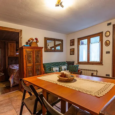 L'atelier Du Temps - Stella Alpina *